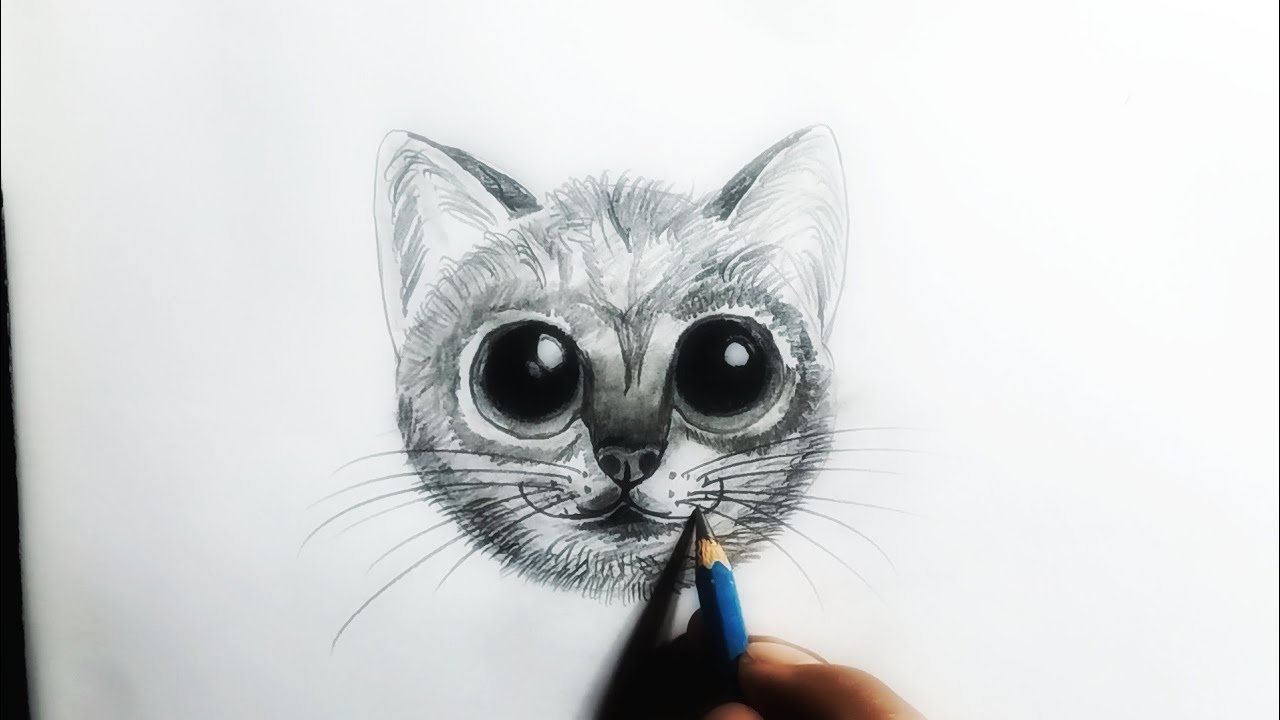 How to Draw a Realistic Cat Step by Step | Easy Pencil Drawing Tutorial