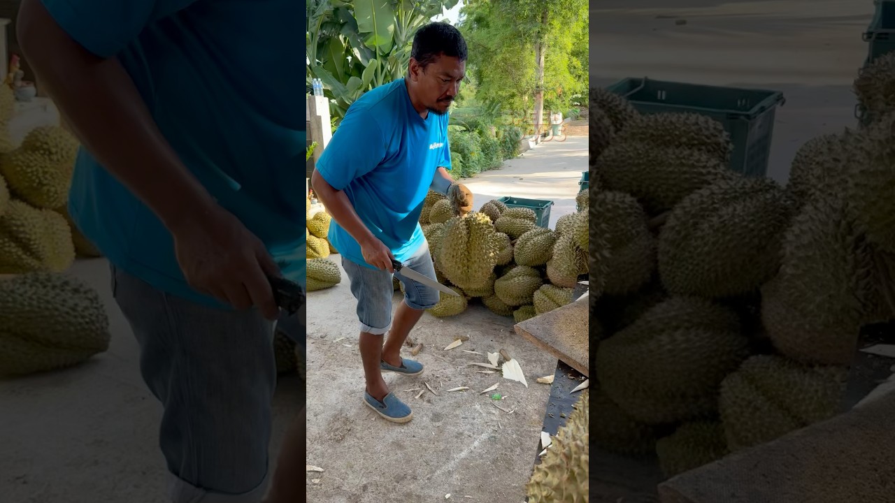 Slicing the King of Fruits Fast - Monthong Durian in Thailand!