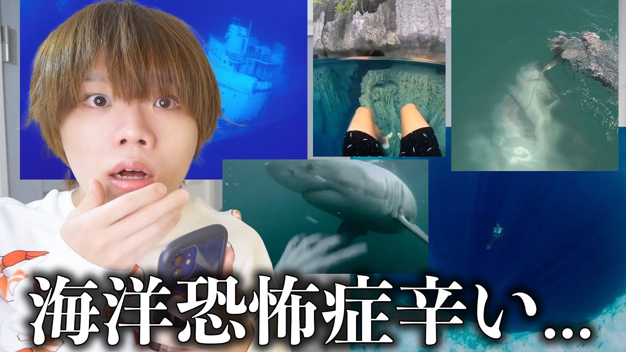 これが怖かった人は海洋恐怖症らしいww【第2回】