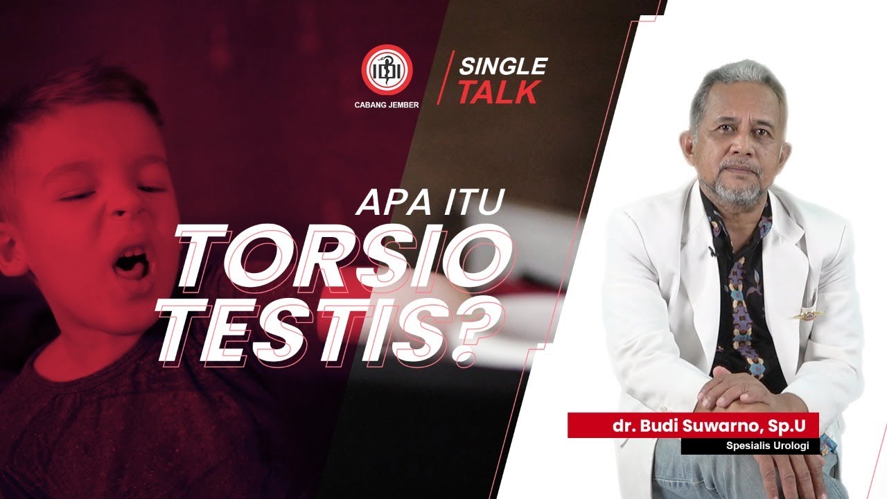 SINGLE TALK | APA ITU TORSIO TESTIS?