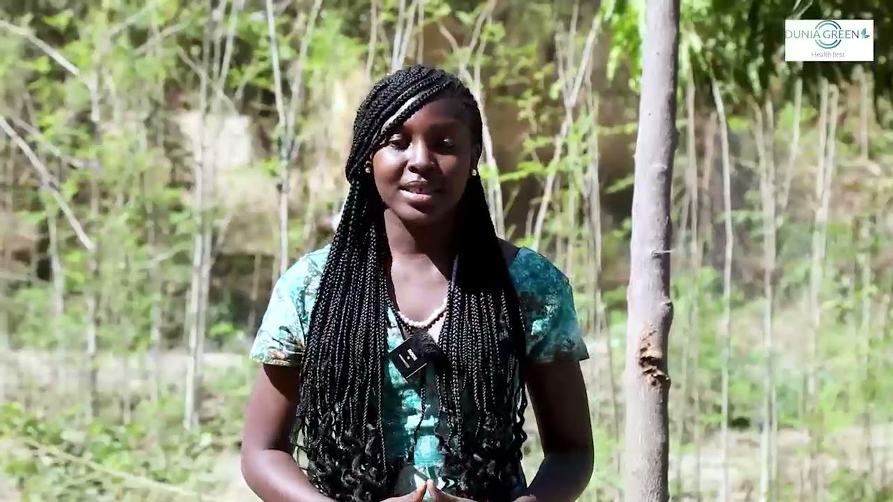 Le Pouvoir vert : Comment le moringa soutient l’autonomie des Femmes