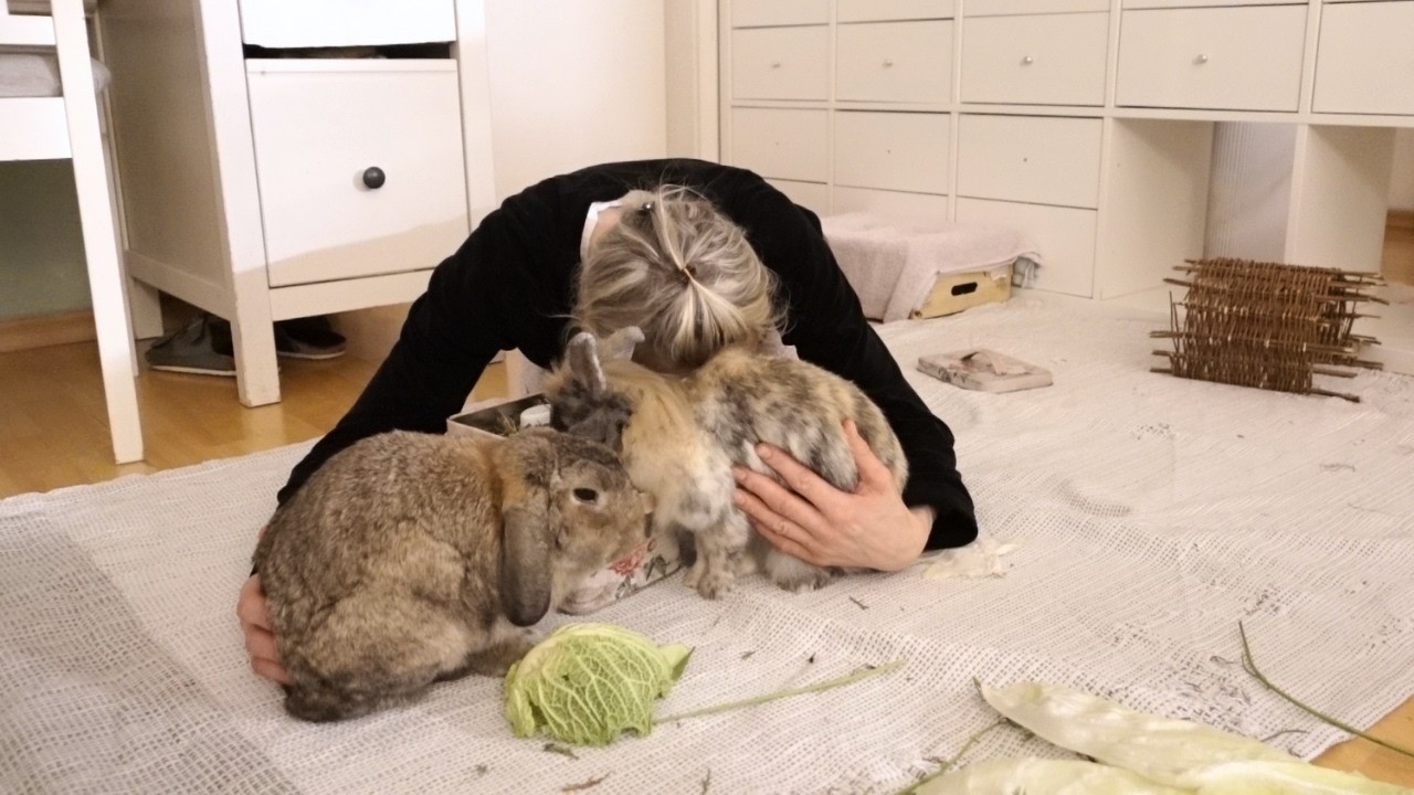 Wenn du es fühlst