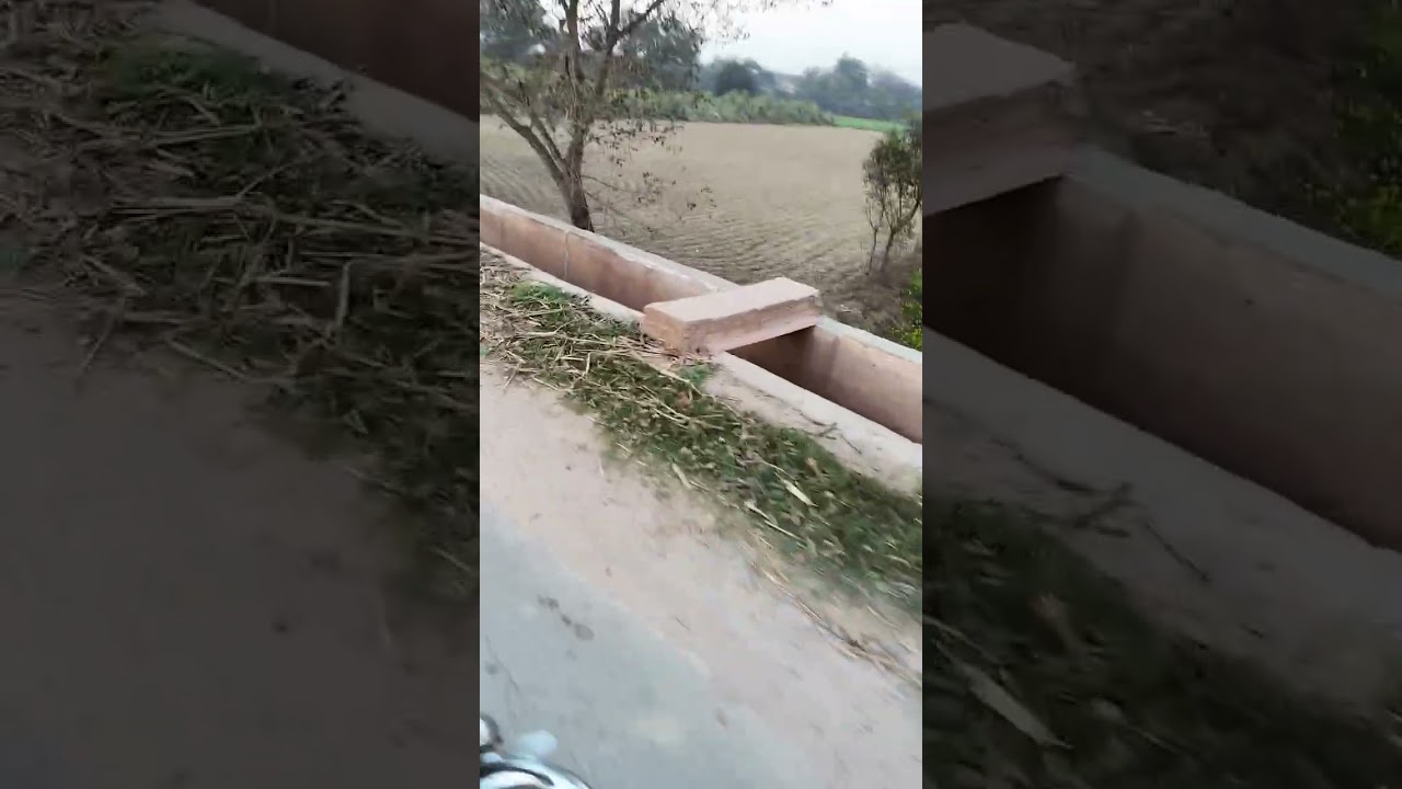 Vlogs