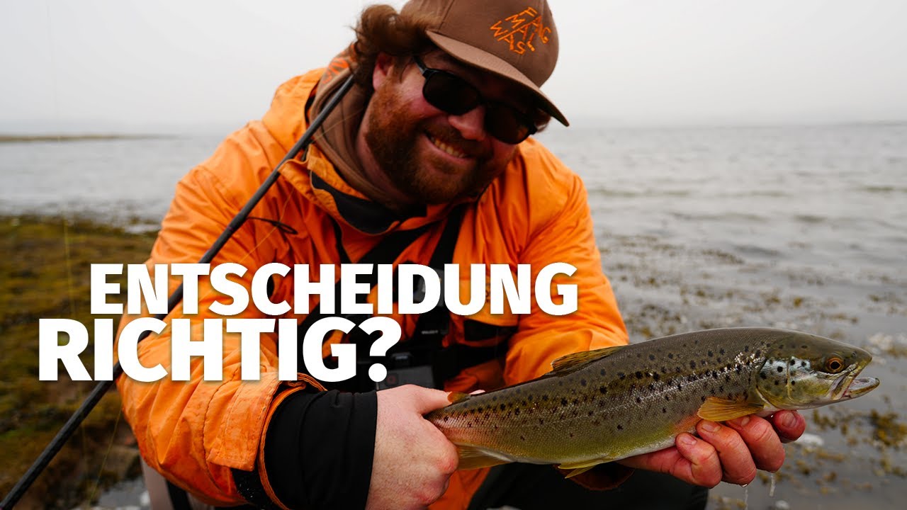 KÜSTENKRIMI auf MEERFORELLE: BLINKER oder FLIEGE? Nur EINS läuft HEUTE - 'Fang mal was' (41)