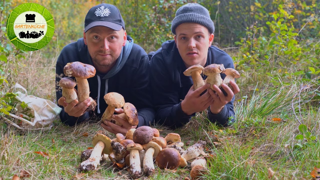 Steinpilz WAHNSINN | Pilze sammeln im Herbst