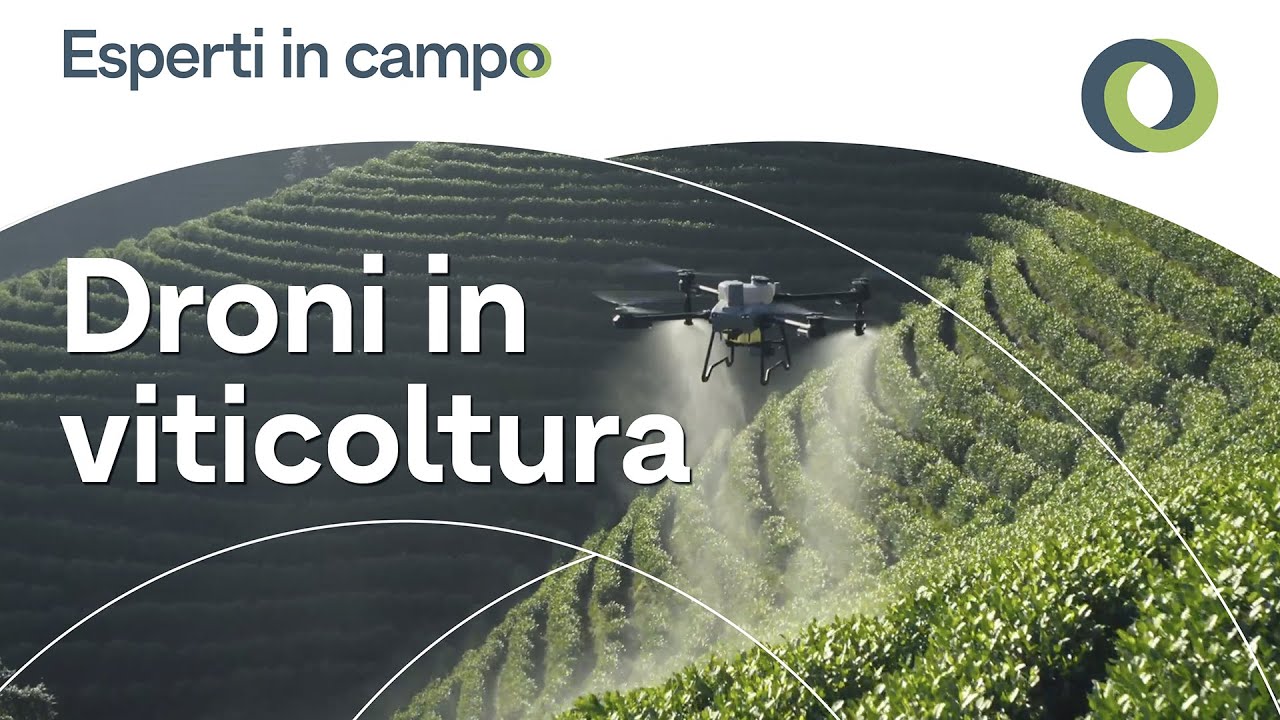 Droni in viticoltura: il punto sulla situazione attuale