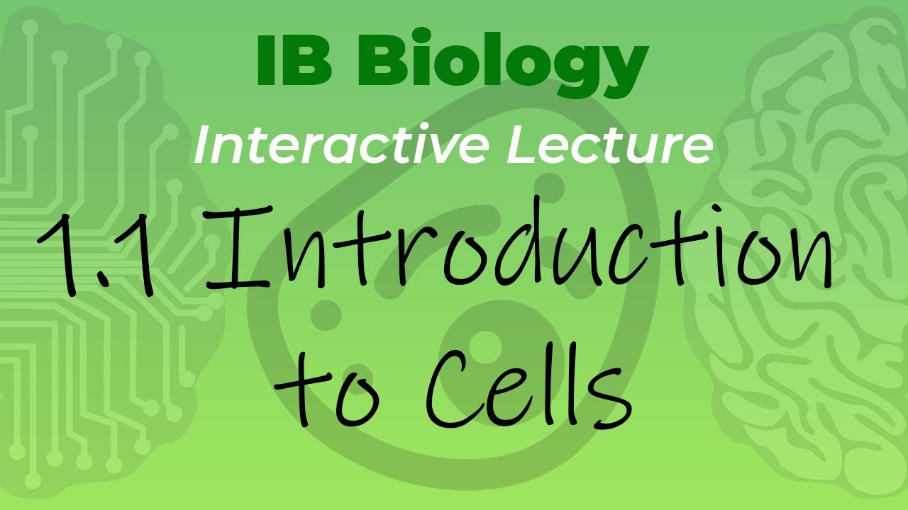 [OLD2016] IB Biology 1.1 - Introduction to Cells - Interactive Lecture