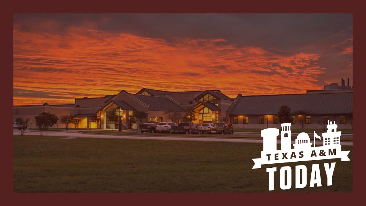 Growth of Veterinary Medicine at Texas A&M | Texas A&M Today