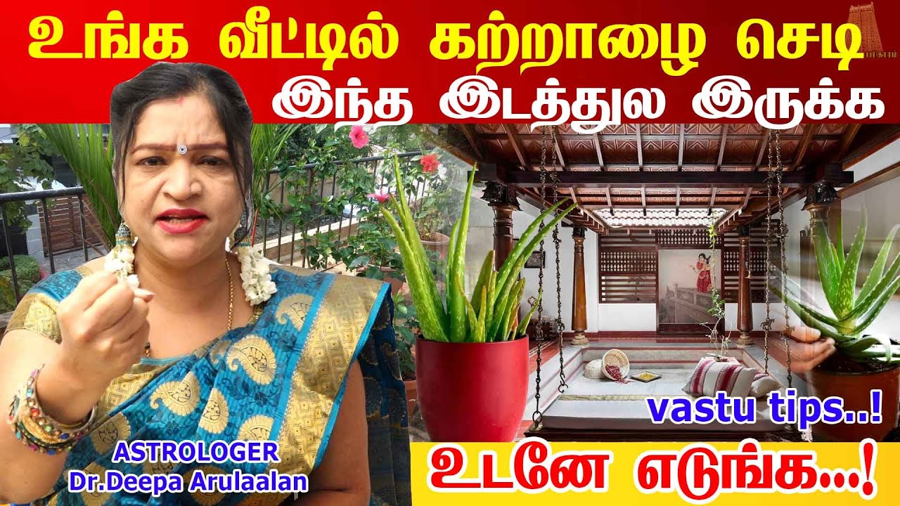 கற்றாழை செடி வீட்டில் இருப்பது நல்லதா ? எந்த திசையில் வைக்க வேண்டும் | Aloe vera benefits in tamil