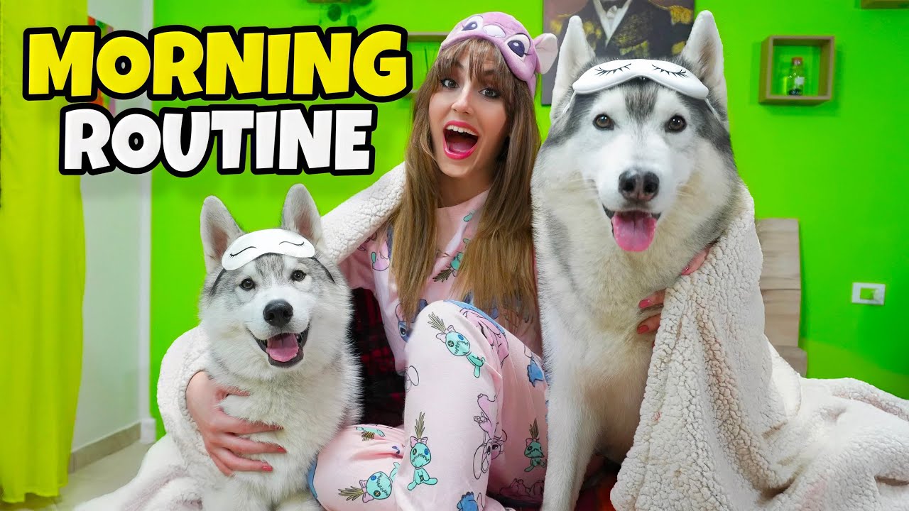 LA MORNING ROUTINE SEGRETA DEI NOSTRI ANIMALI 🐶☀️🐱 (+ SORPRESA DI UN FAN 🤭🎁) | MARTY E YUKO