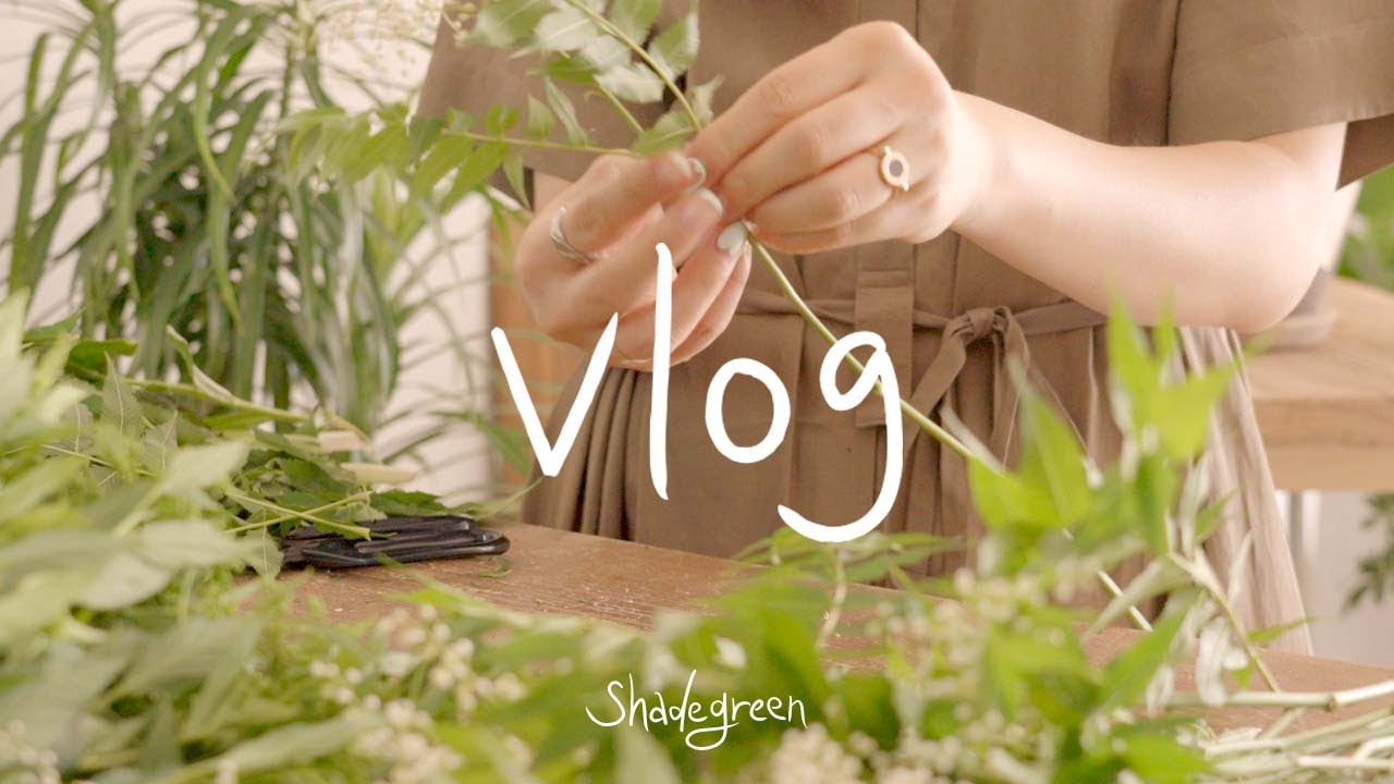 ENG / flower shop vlog | 꽃집의 가장 중요한 업무!  오늘도 꽃정리와 냉장고 청소를 합니다.
