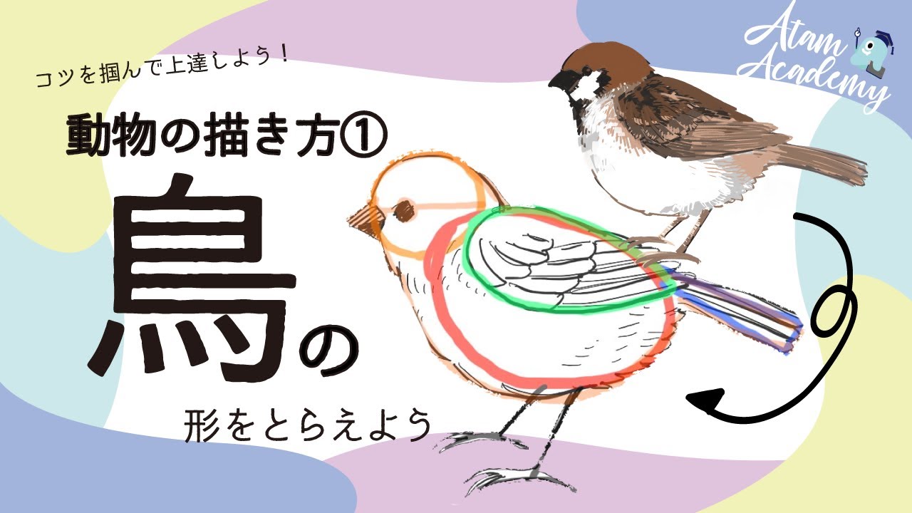 初心者も簡単！スズメ（鳥）の描き方【イラスト上達基礎講座 動物の描き方 】