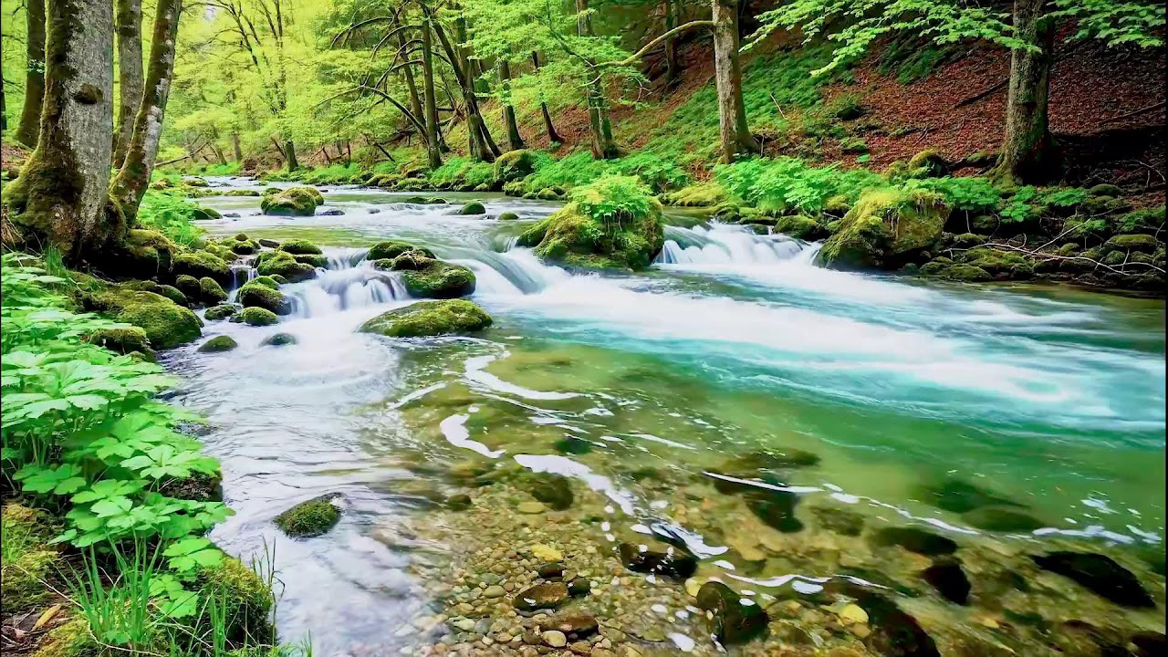 Calming River Sound for Deep Sleep | Natural Healing Ambience for Health and Peace