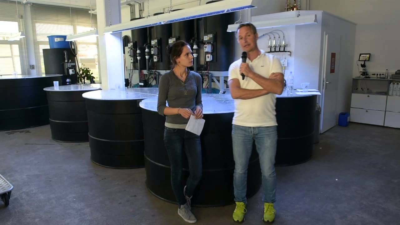 Modern Koi Blog #188 - Wie härtet man Wasser auf?