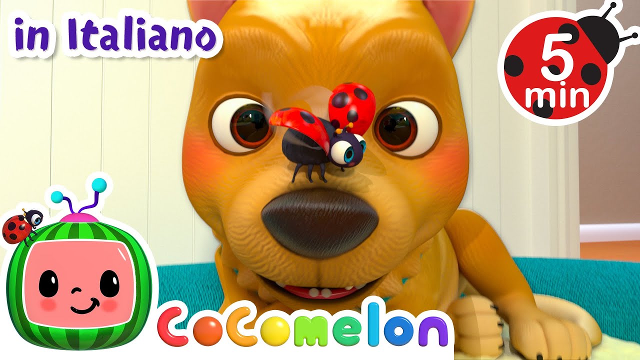 Il mio cagnolino | CoComelon Italiano - Canzoni per Bambini