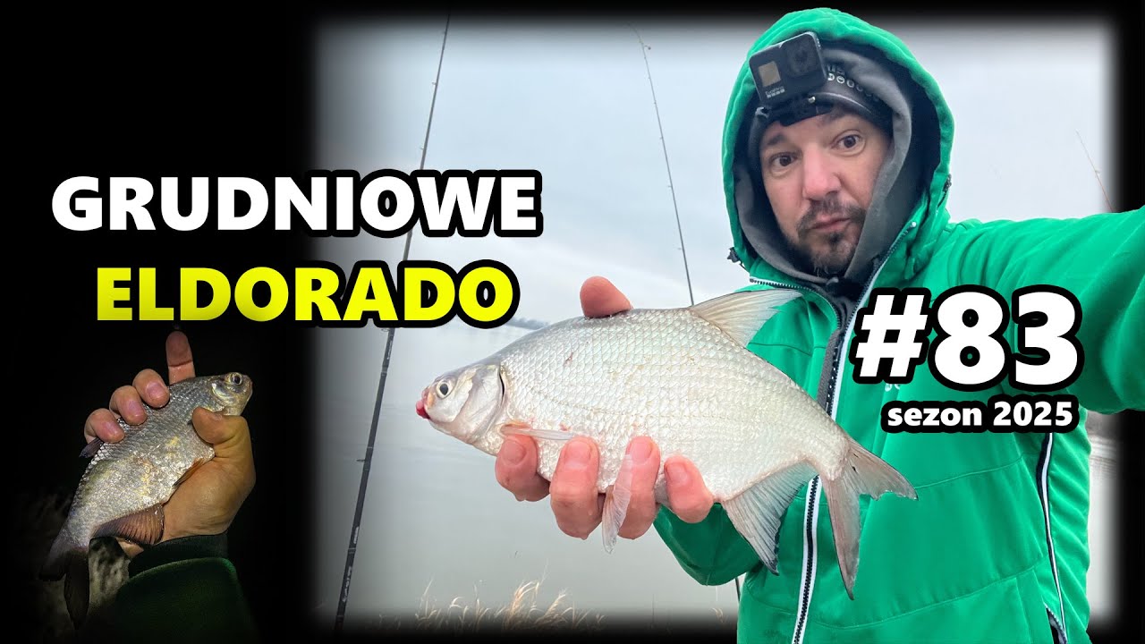 Grudniowe ELDORADO | 83. odcinek –Wilczkowice Górne