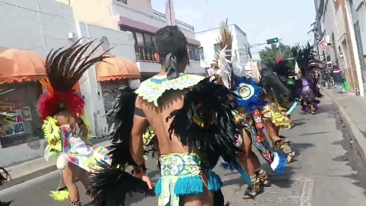 Danza Honor Virgen de Guadalupe, Tierras Negras Celaya Guanajuato 2025