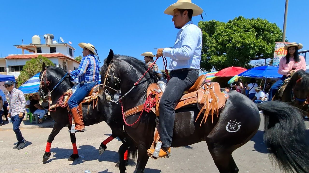 Desfile dela feria del gallo aya en Cutzamlala del Pinzón guerrero
