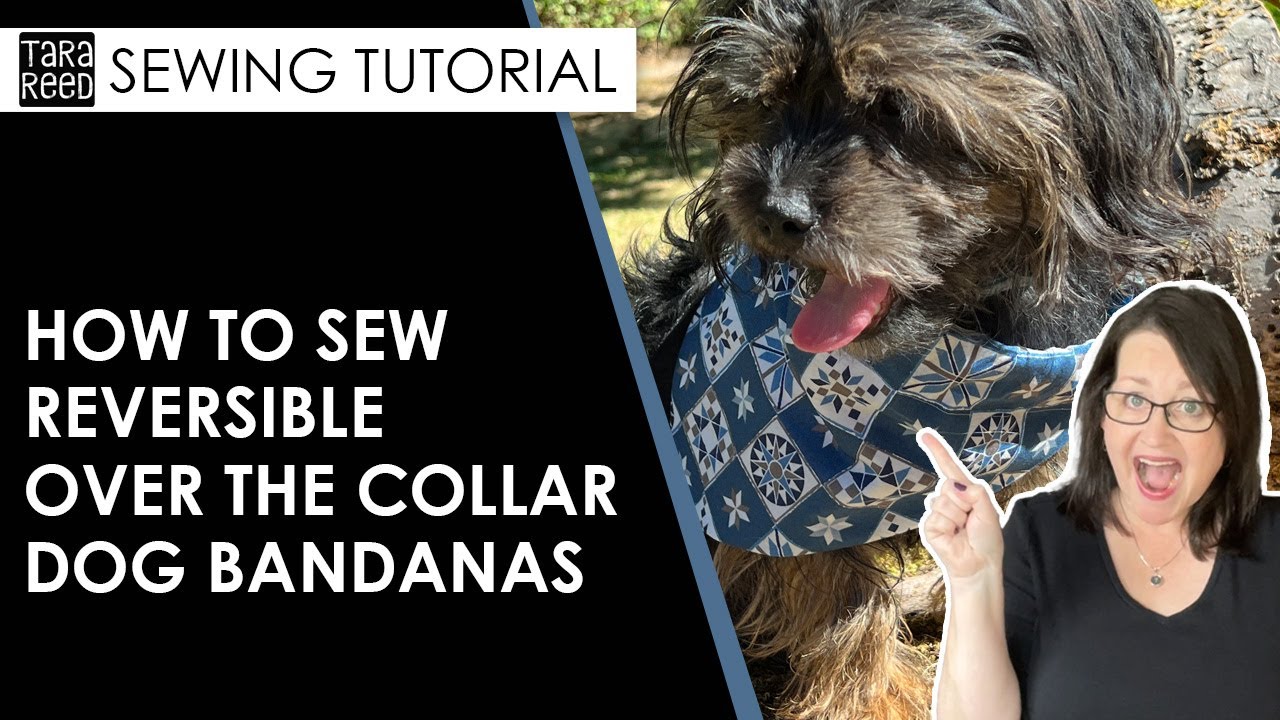 🧵 🐶 Двусторонняя бандана для собак через воротник &mdash; урок шитья для начинающих
