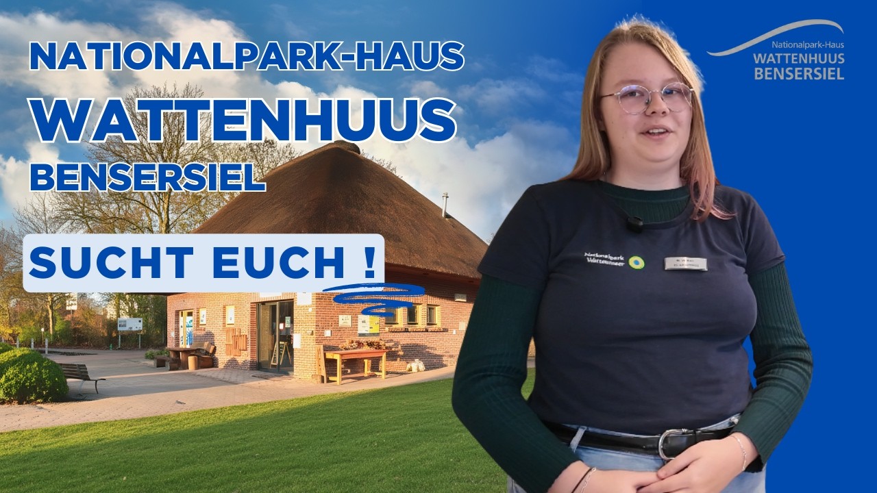 Starte Dein FÖJ bei uns im Nationalparkhuus 