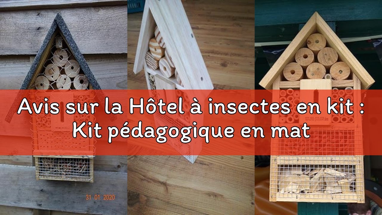 Avis sur la Hôtel à insectes en kit : Kit pédagogique en matériau naturel [Pearl]