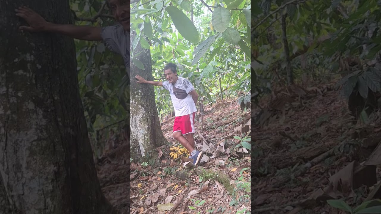 10 de fevereiro de 2026