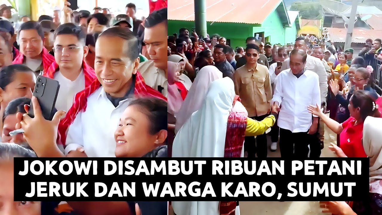Membludak Jokowi Disambut Petani Jeruk & Warga Karo Sumut ! Bawa Pakar UGM Blusukan Kebun Jeruk