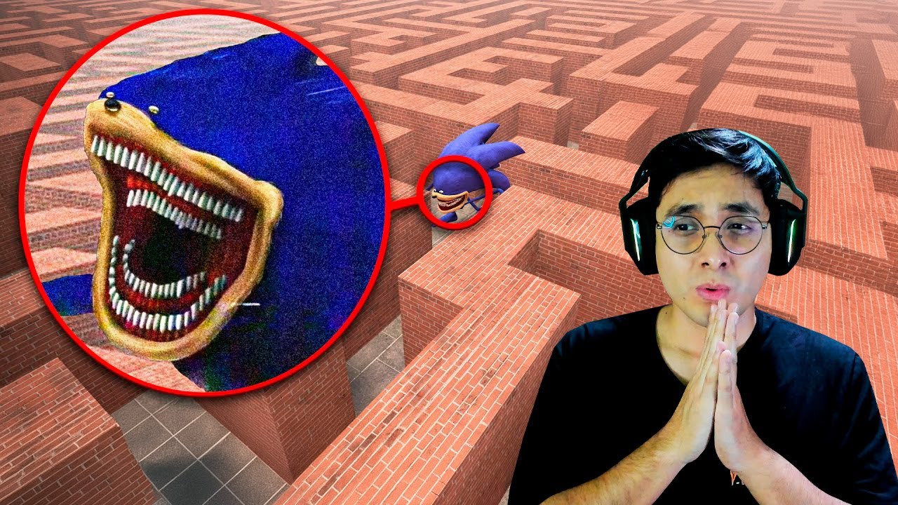 Estoy ATRAPADO en un LABERINTO junto a SONIC TAPES