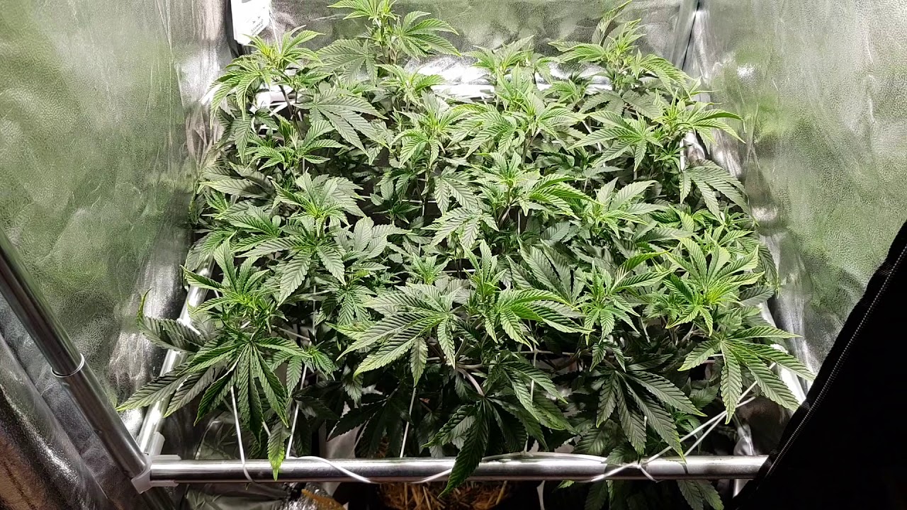 PROBLEM SOLVED....WHAT A TW*T 😅!