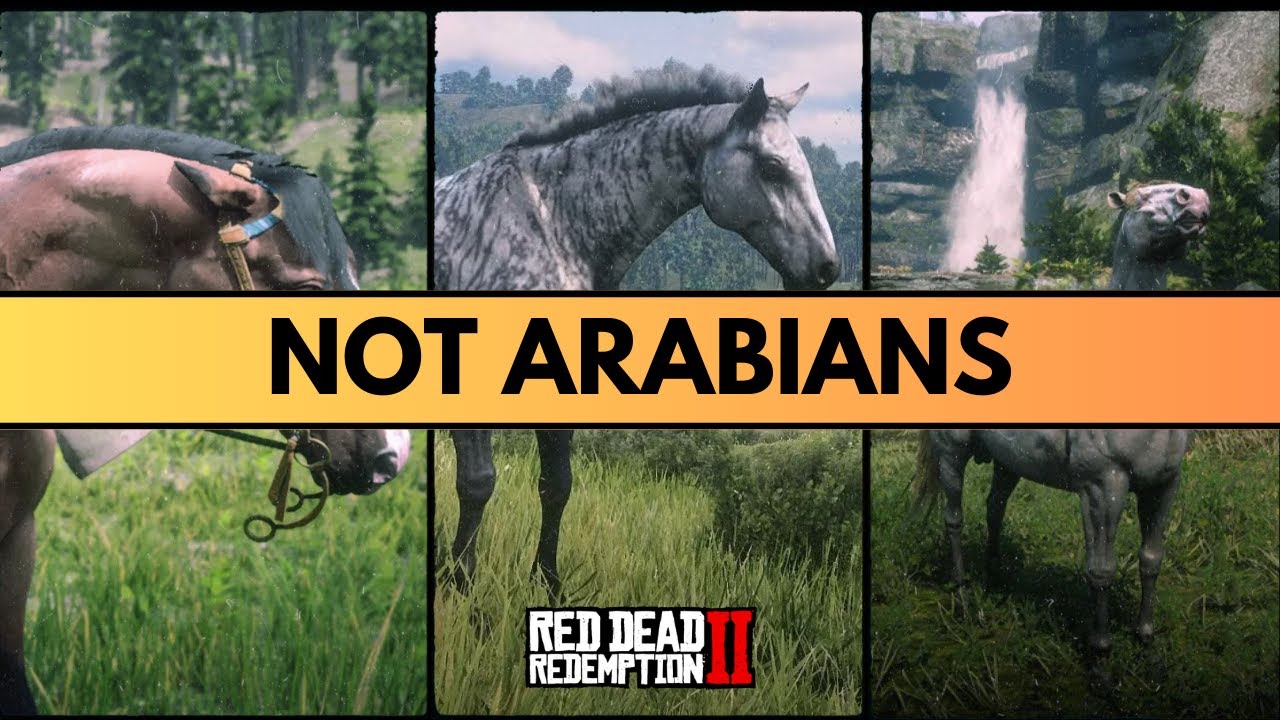 Мои ТОП-3 лошади в Red Dead Redemption 2