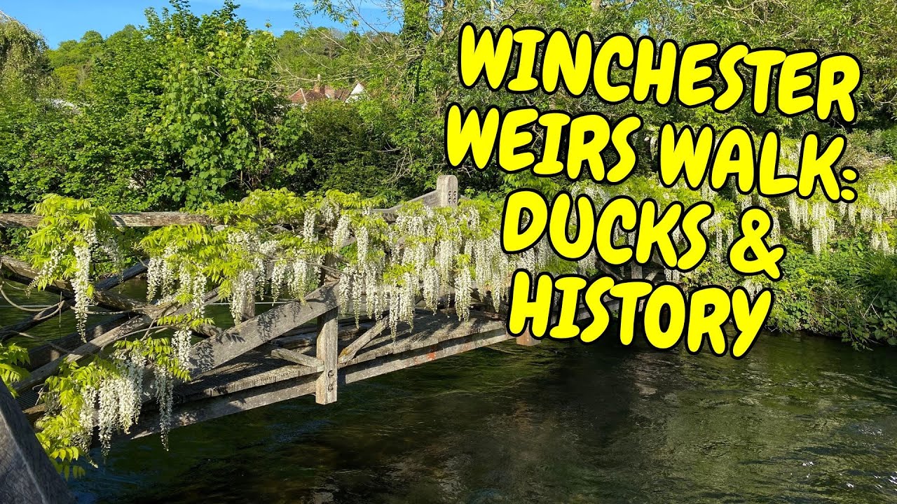 A Peaceful Walk Along Winchester’s Weirs Walk Ducks & History!
