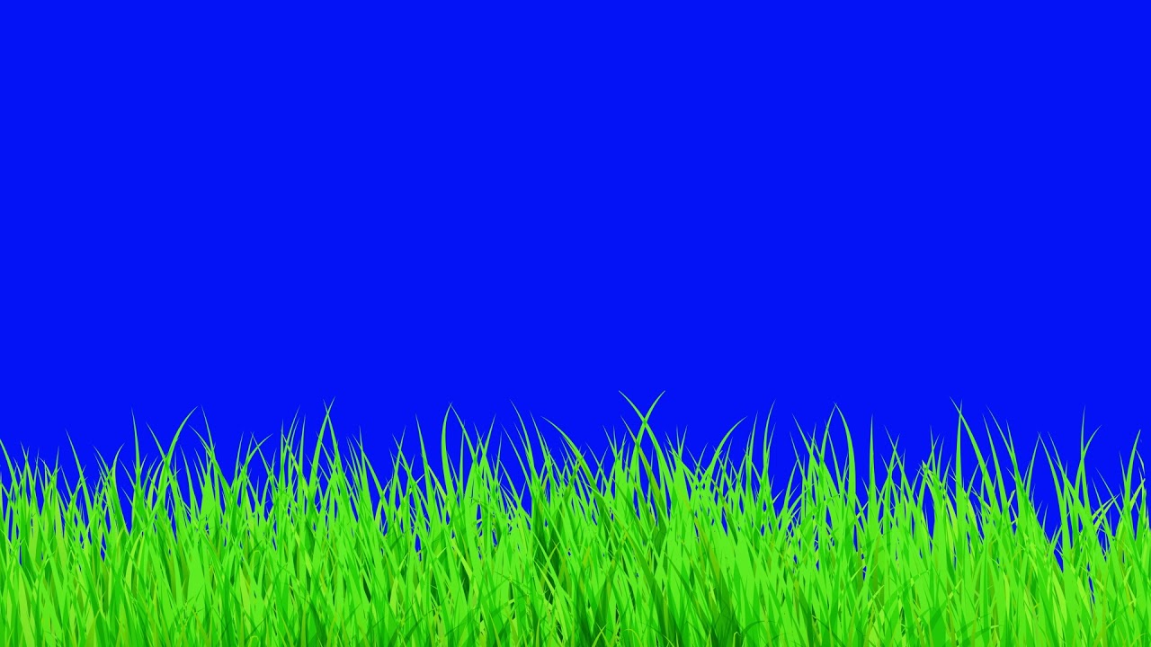 Waving Grass | blue screen animation footage