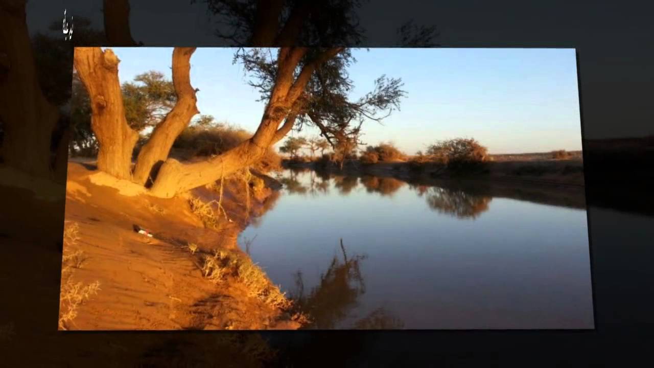 مشينا مشينا جلال الزهراني  تصميم بنت التميمي