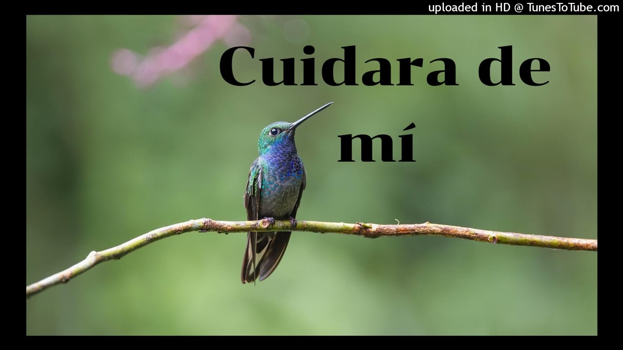 Cuidara de mí