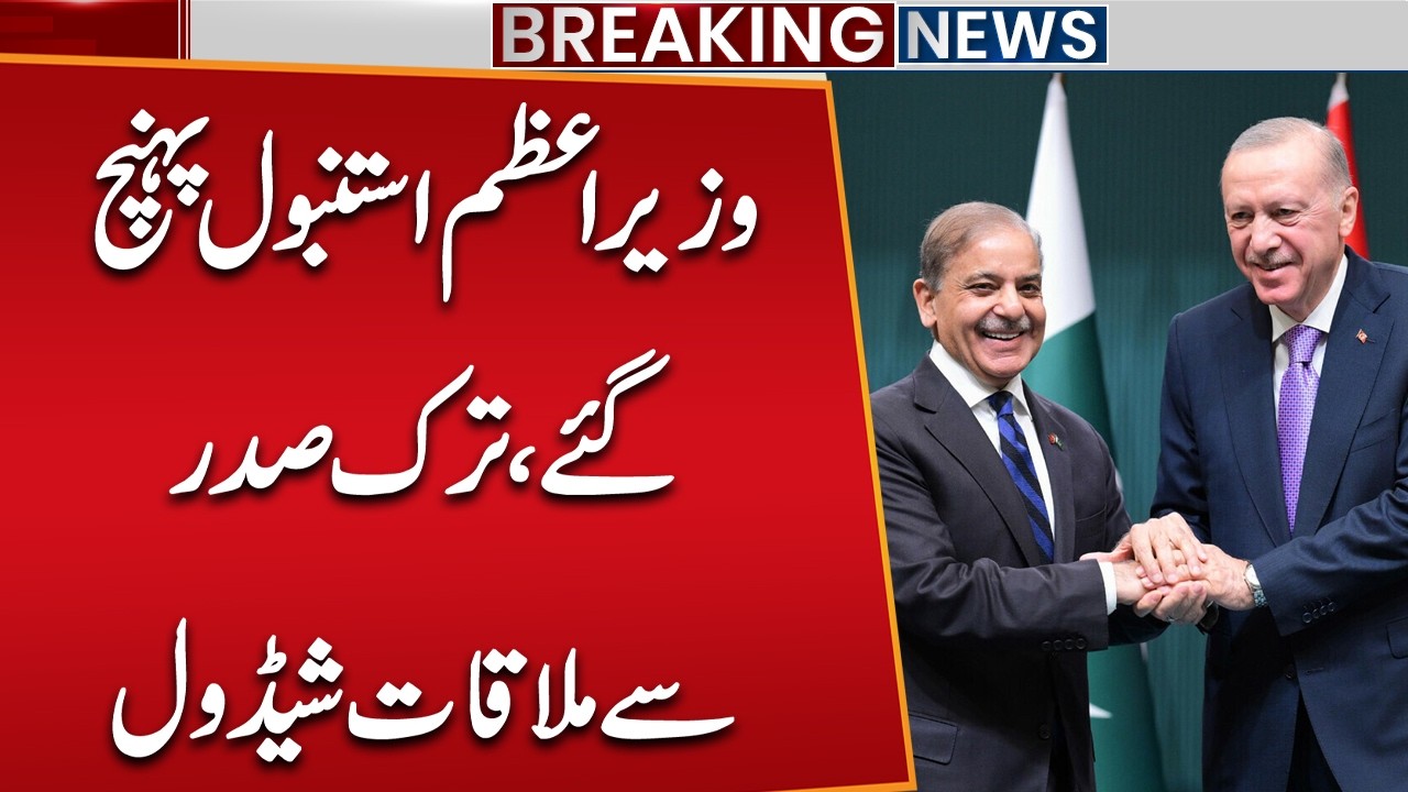 PM Shehbaz Sharif Turkey Visit | Istanbul Visit | Meeting With Turkish President | Public News