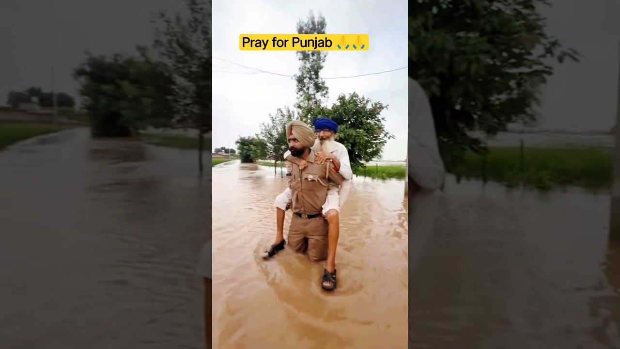 Punjab Floods 2025: A State in Crisis5. Punjab Flood Relief | Help & Support #punjabfloods #punjab