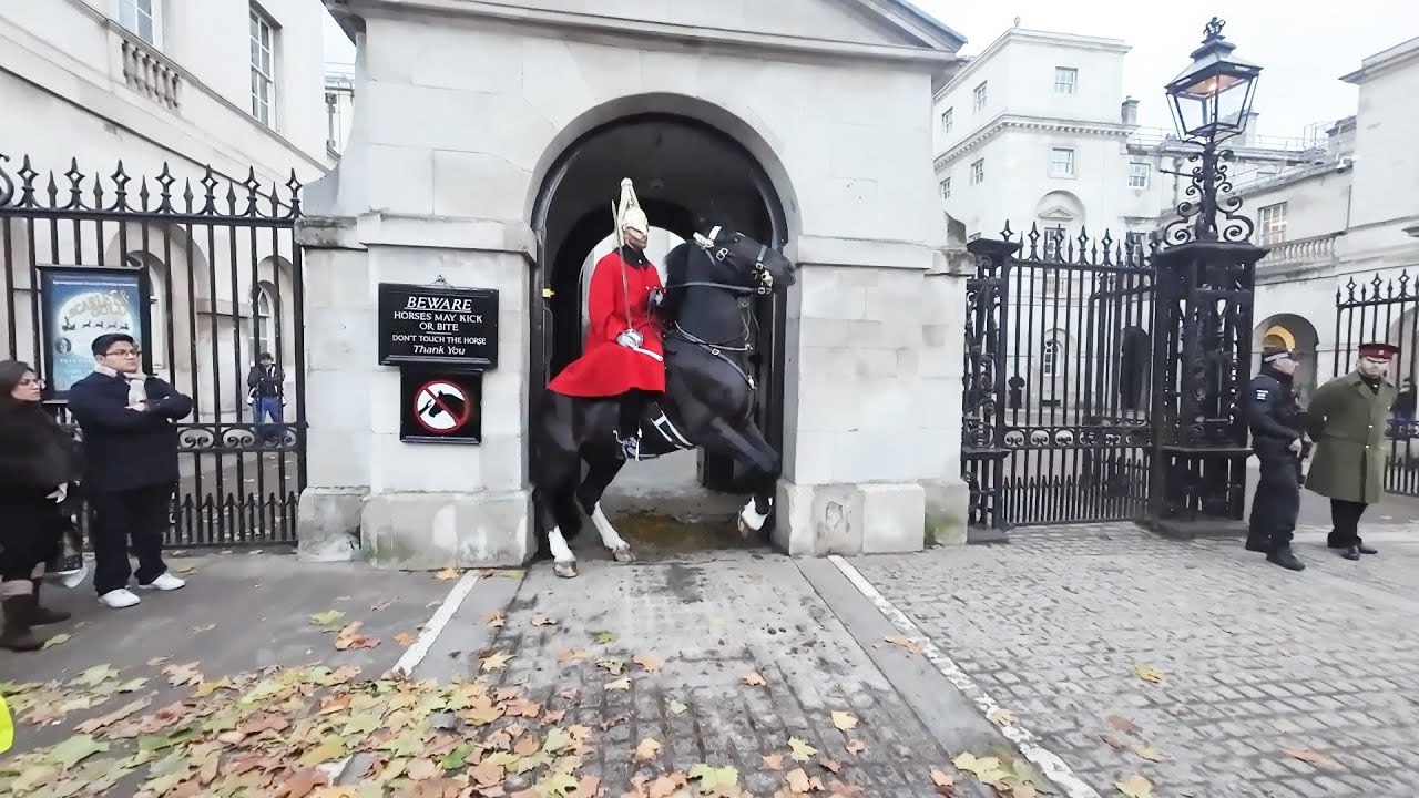 SOLDIER CONTROLS HORSE UPSET By Passing Protest At The Horse Guards London #horselove #horse #london