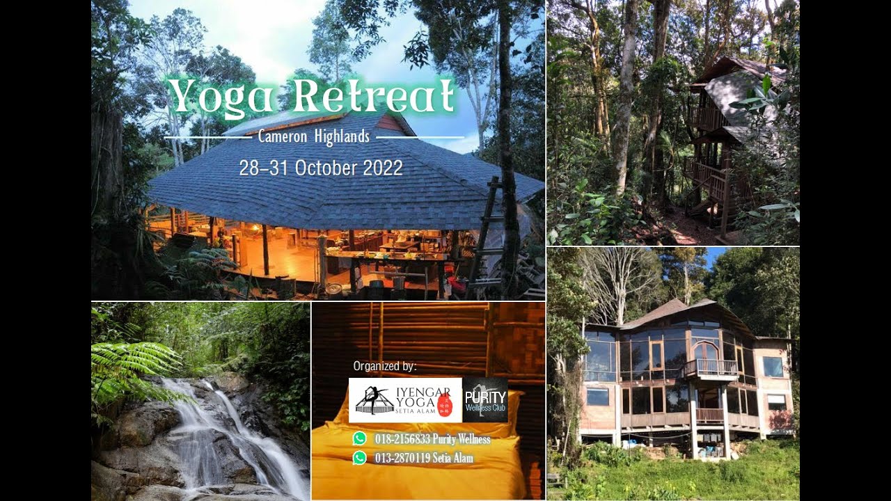 Yoga Retreat | October 2022 | Part 2 | Iyengar Yoga | Cameron Highlands | Terra Tree House | Classes
