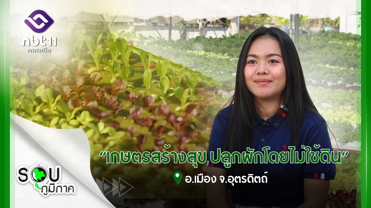 รายการรอบภูมิภาค เกษตรสร้างสุข ปลูกผักโดยไม่ใช้ดิน