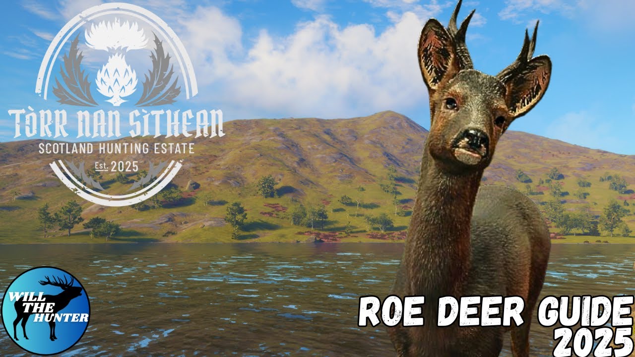 Путеводитель по зонам водопоя косули в Шотландии | TheHunt Call Of The Wild