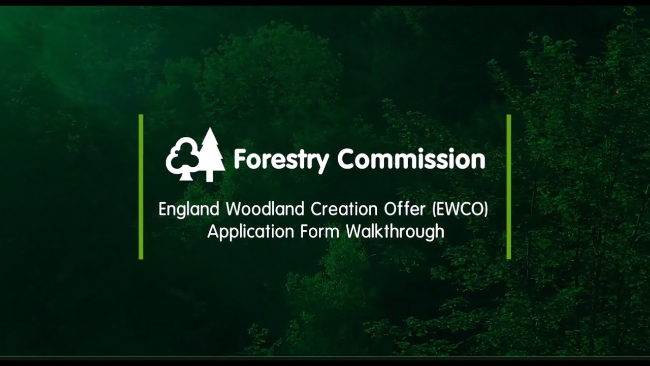EWCO form: site details tab