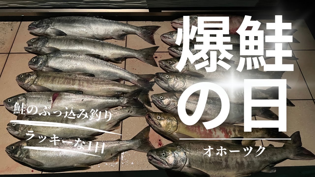 北海道　shore fishing① 鮭のブッコミ釣り　爆鮭の日