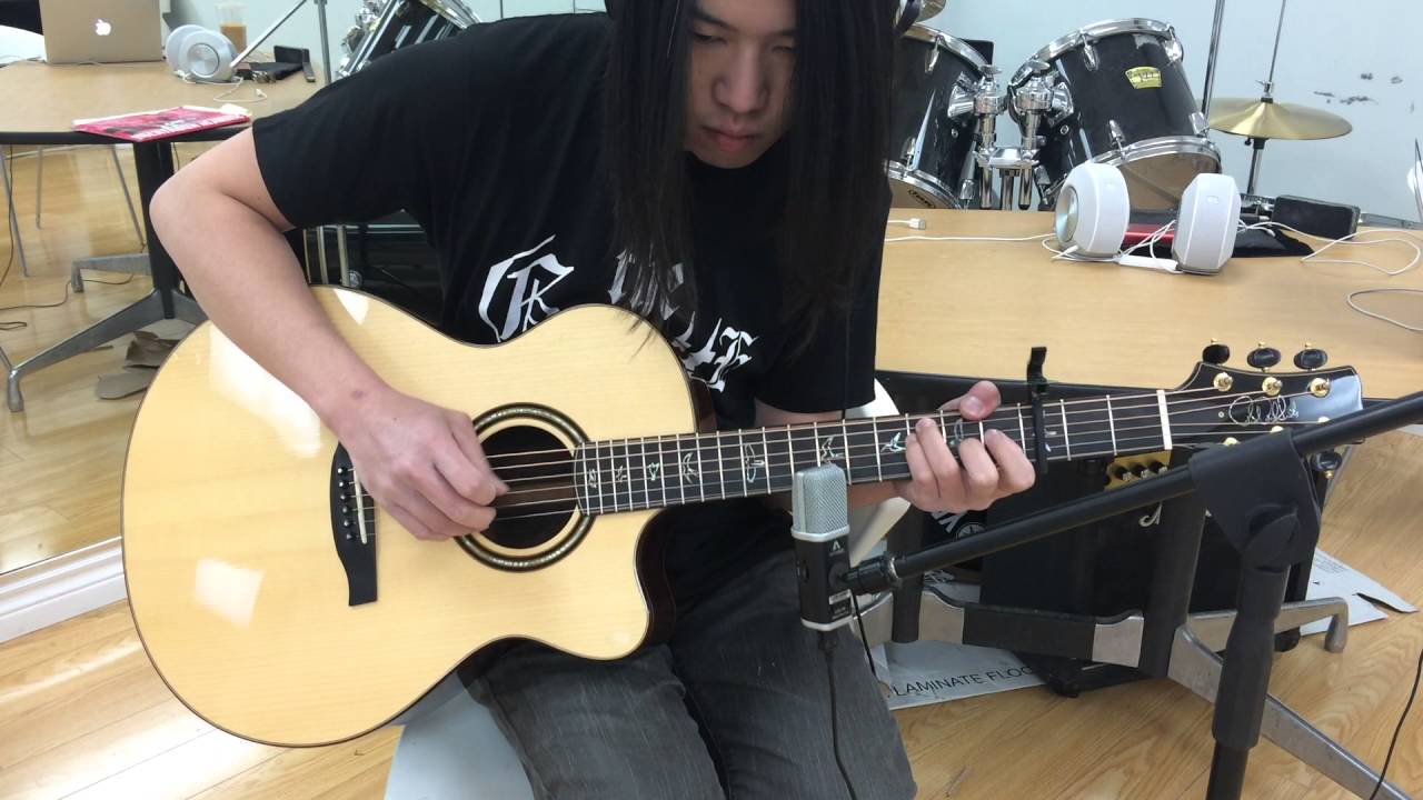 the GazettE - PLEDGE (Acoustic guitar fingerstyle cover)