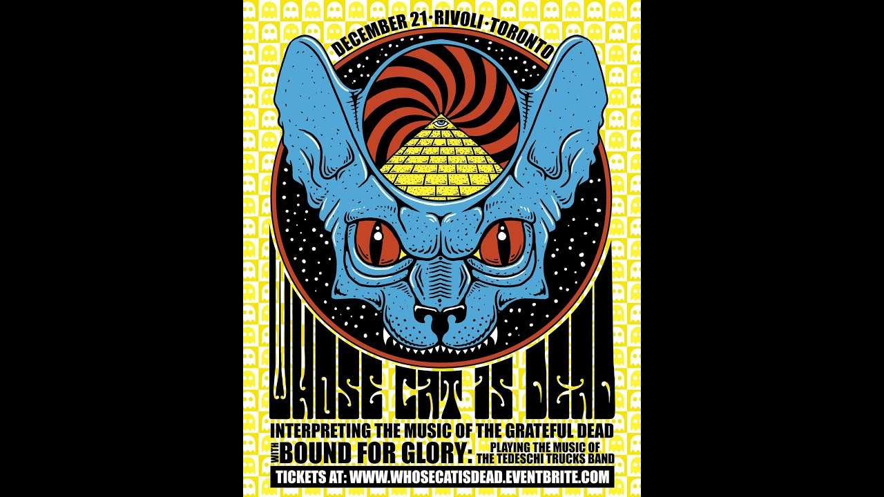 gnuTUBE Replay Series: Whose Cat is Dead Live on 12.21.2018 in Toronto, ON AUD
