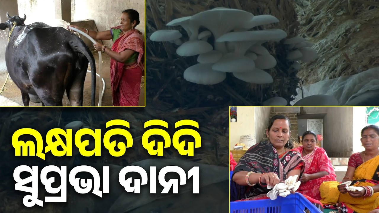 ସଂଘର୍ଷରୁ ପାଇଲେ ସଫଳତା, ନିଜେ ସ୍ବାବଲମ୍ବୀ ହେବା ସହ ଅନ୍ୟଙ୍କୁ ଦେଇଛନ୍ତି ରୋଜଗାର  || Knews Odisha