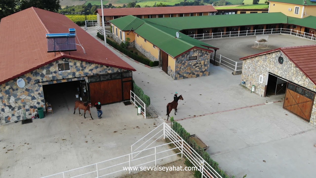 Selanik At Çiftliği - 5. Saha