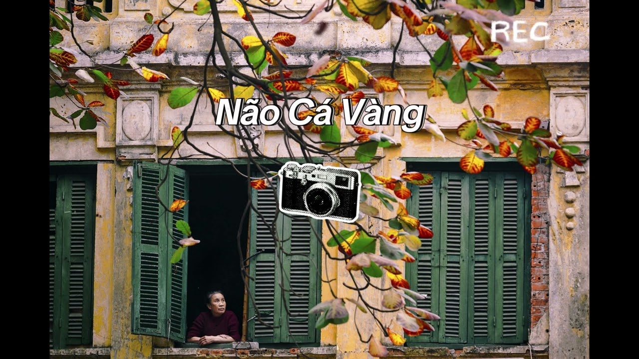 NÃO CÁ VÀNG [AI REMAKE] | ONLY C ft. LOU HOÀNG