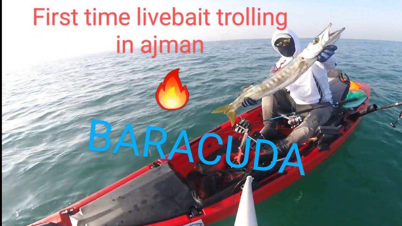 pinoy kayak fishing uae || baracuda || livebait