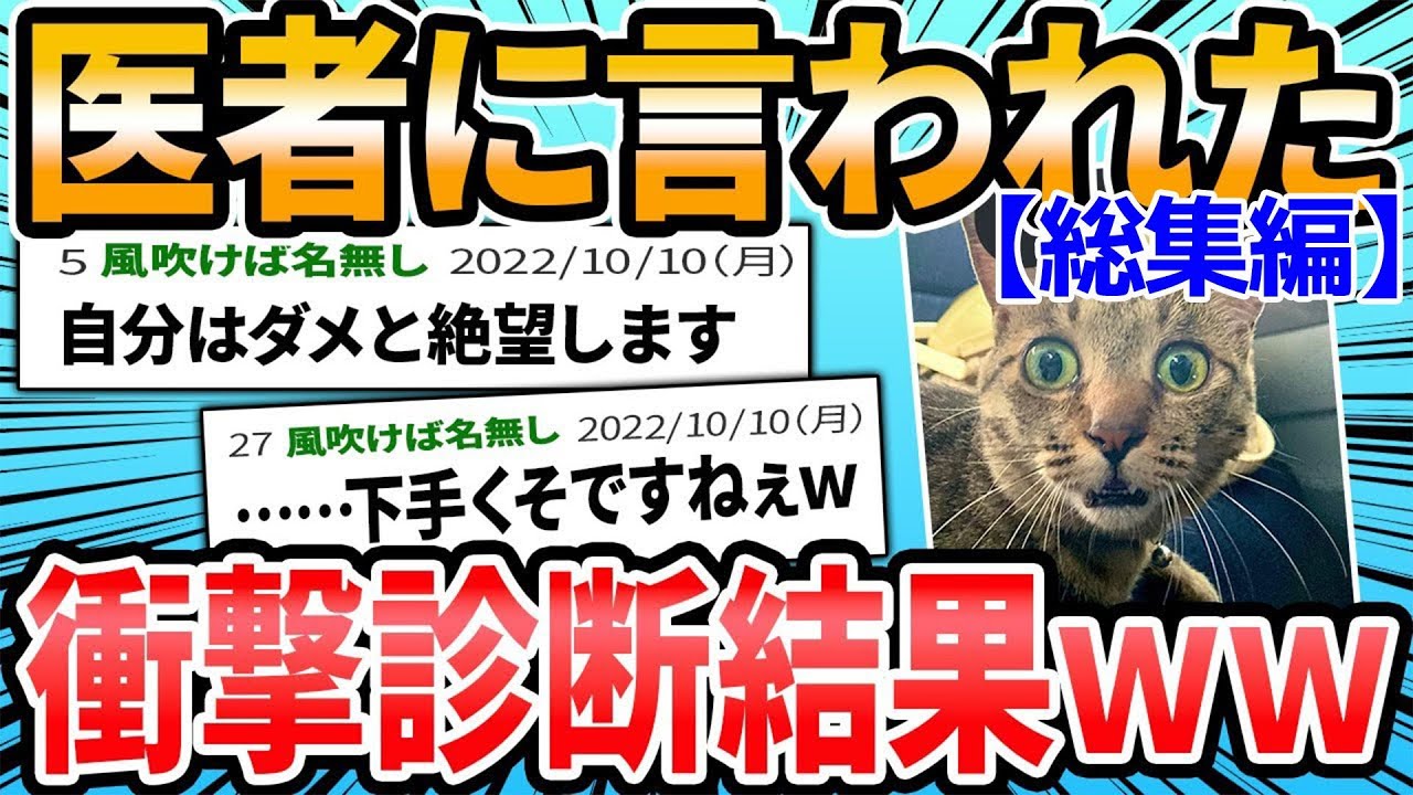 【総集編】獣医から衝撃的な言葉を生み出した可愛すぎる動物まとめ【2ch面白いスレ】