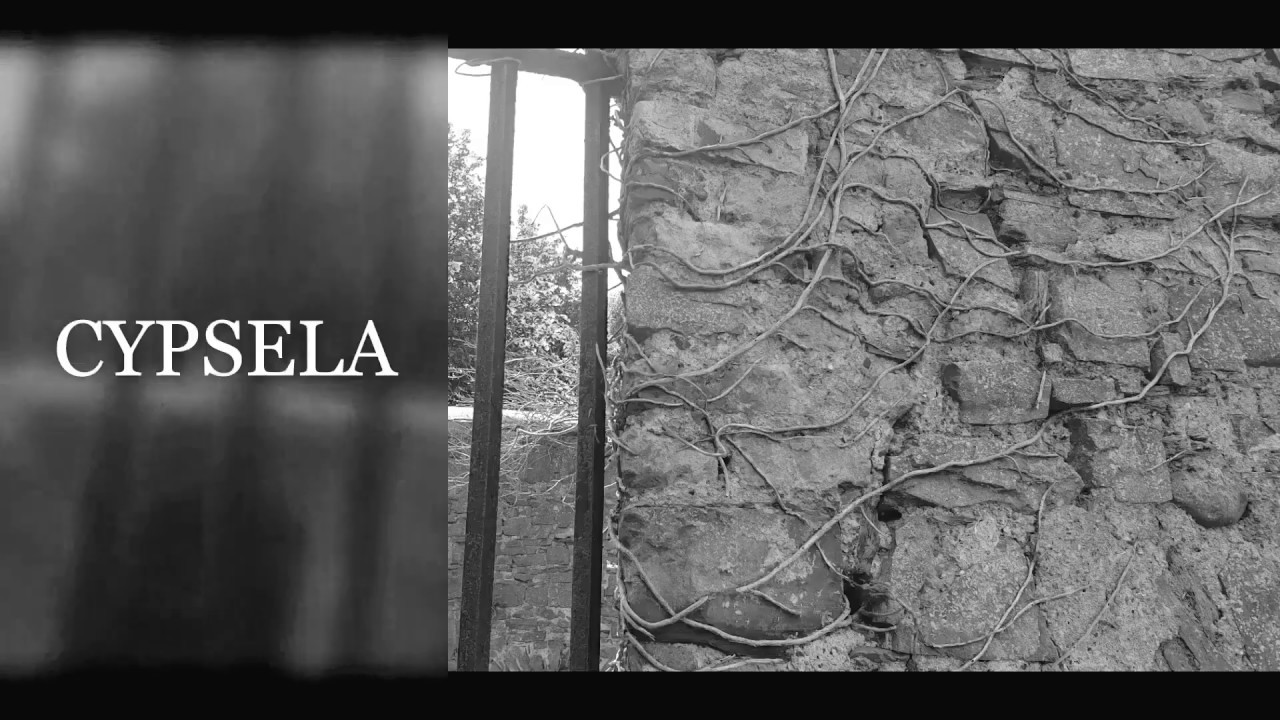 Lucia Joyce Series; Northampton Asylum.